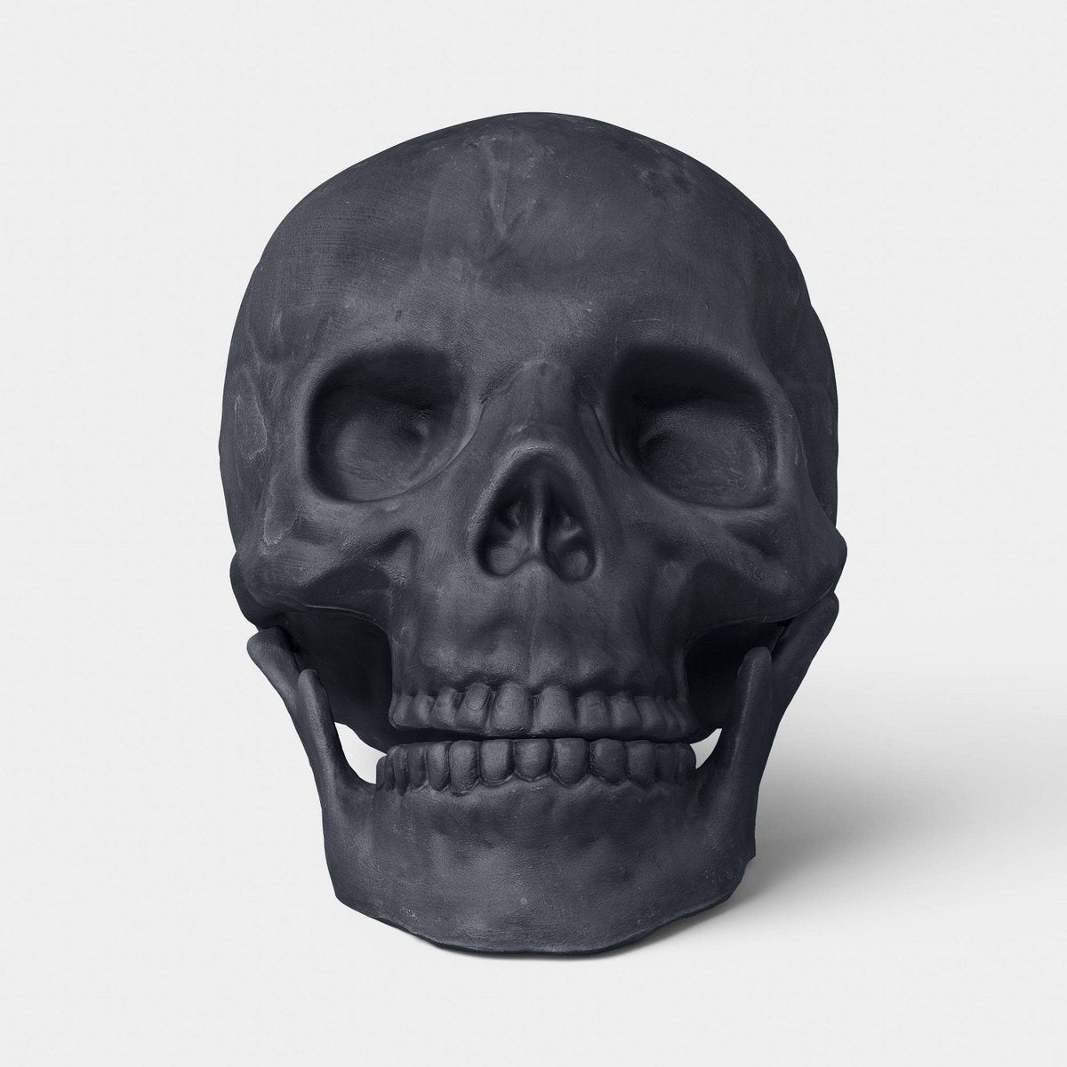 6 Inch Medium Skull Halloween Prop - image 2
