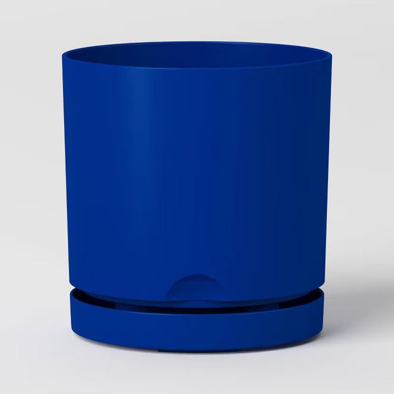 Candid Cobalt