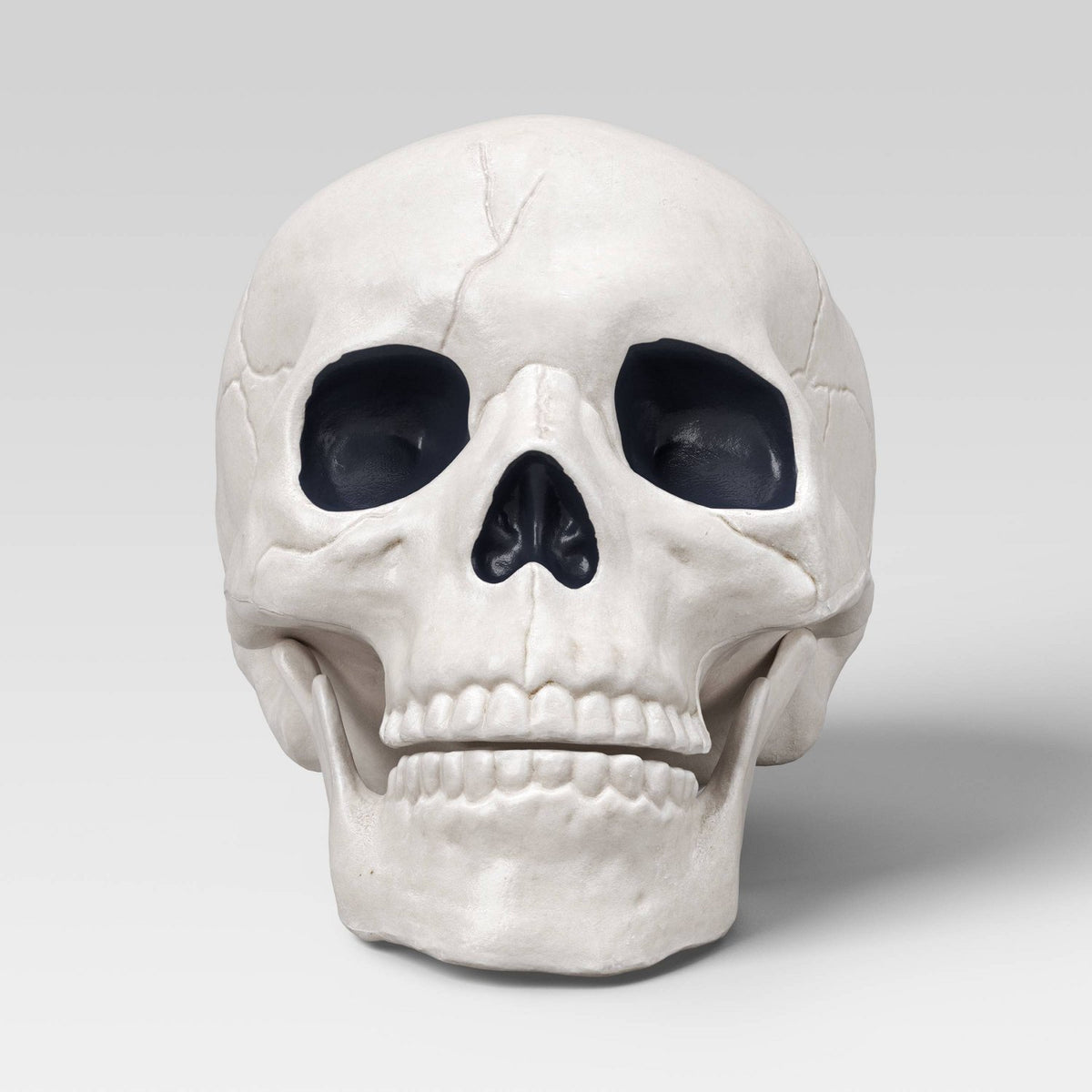 6 Inch Medium Skull Halloween Prop - Halloween decor