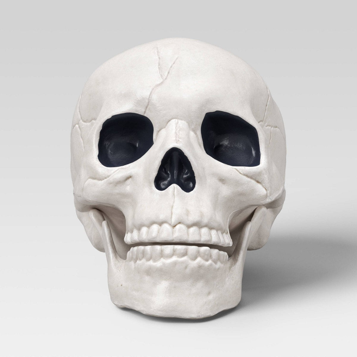 6 Inch Medium Skull Halloween Prop - Halloween decor