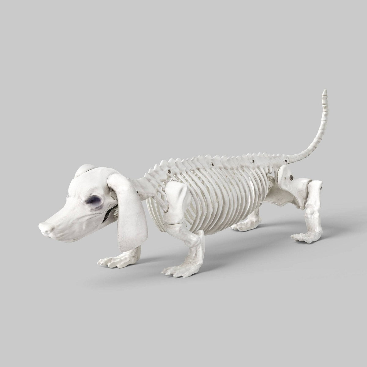 22.5 Inch Dachshund Skeleton Halloween Prop - Halloween decor