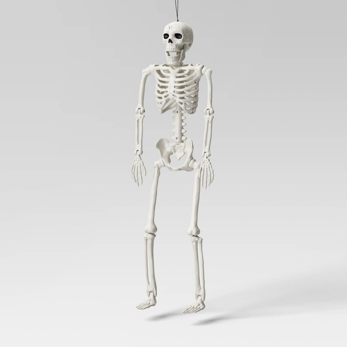 24 Inch Posable Skeleton Halloween Mannequin - Halloween decor