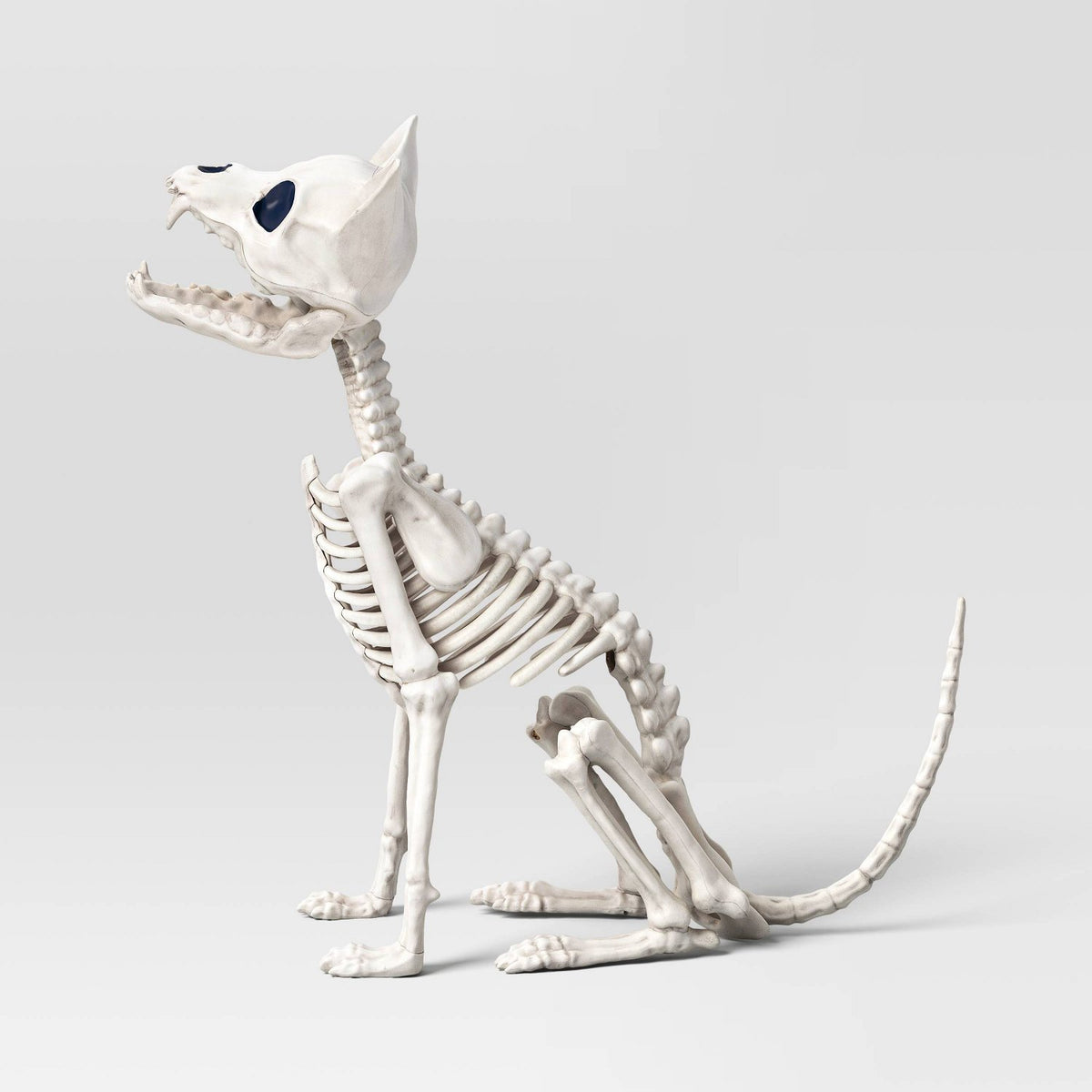 11.5 Inch Chihuahua Skeleton Halloween Prop - image 3