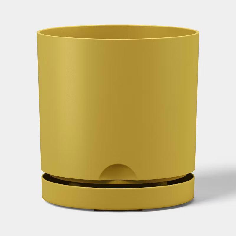 Mustard Yellow