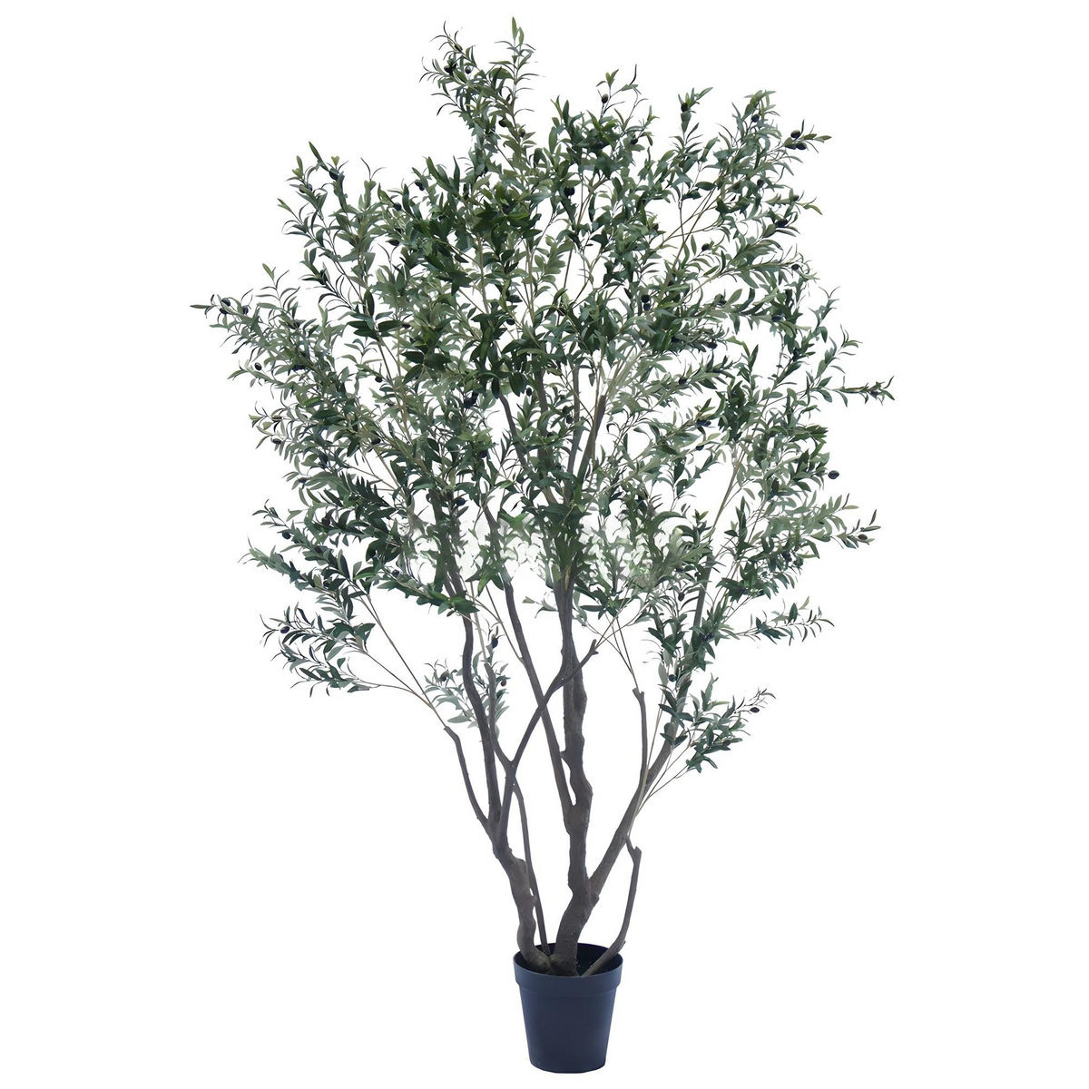 Olive Tree Disassembled 260CM Indoor KD