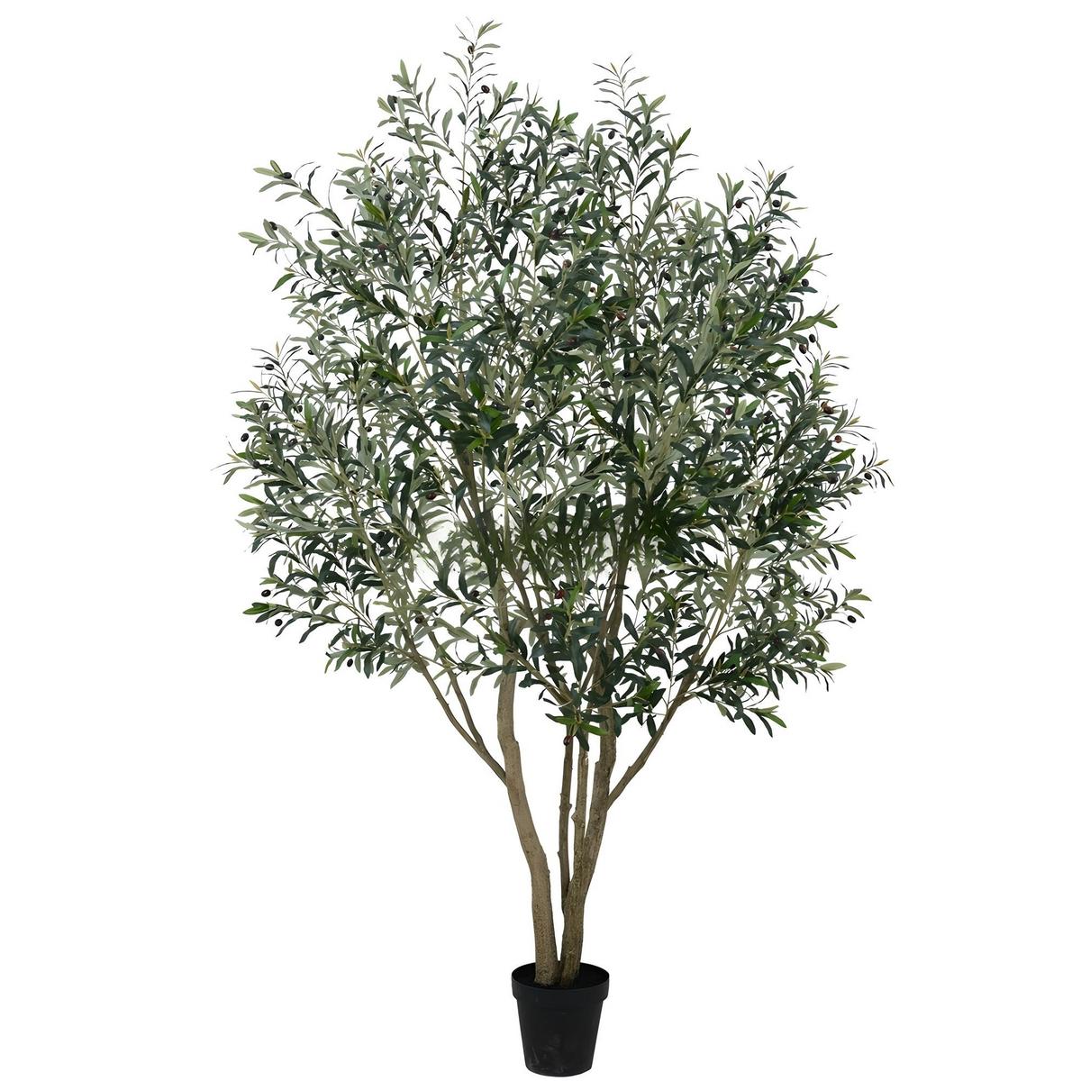 Olive Tree Disassembled 250CM Indoor KD