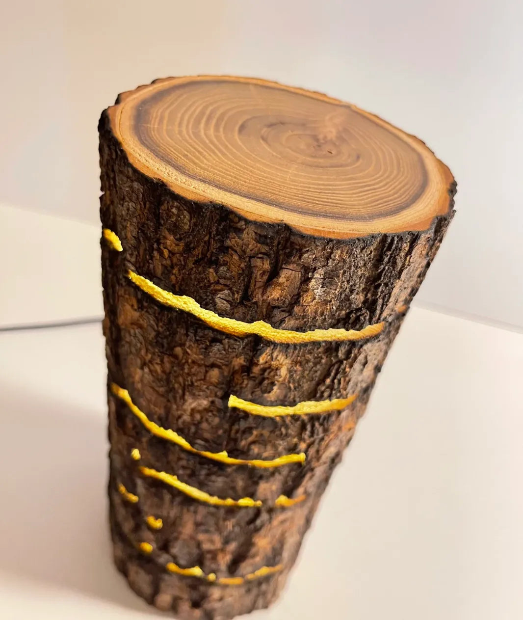 “Glowing Log Wooden Lamp with burnt edges and vertical glowing slits, handcrafted from natural wood with built-in LED for warm rustic ambiance.”