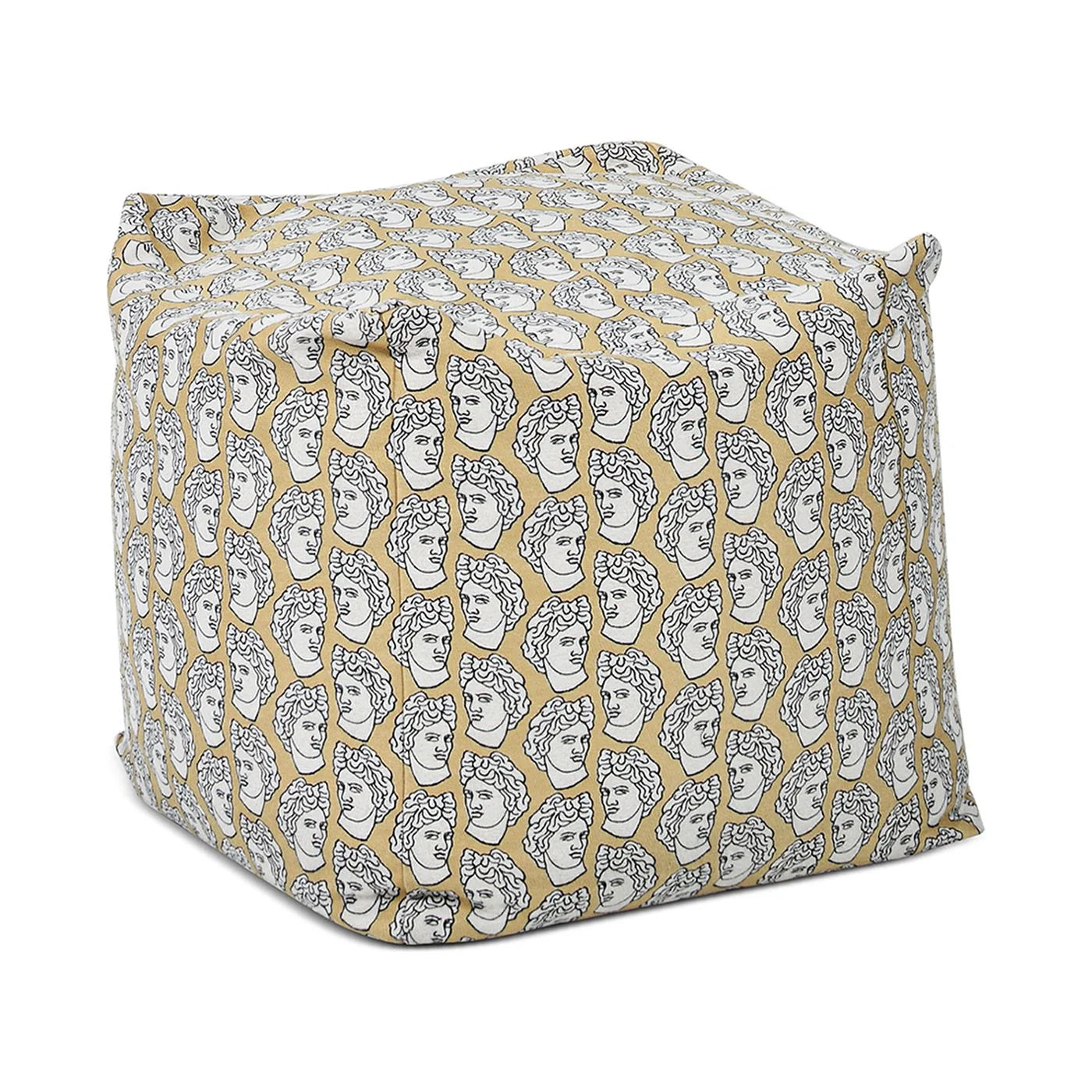 Jennifer Taylor Home Pouf 23" Luxury Oversized Bean Bag Cube Ottoman, Apollo Bust Gold & Cream Embroidery