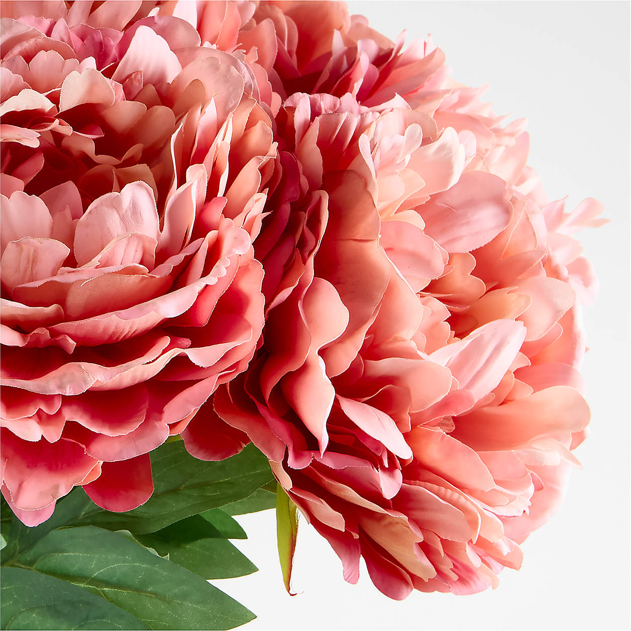 Set of 7 Stems