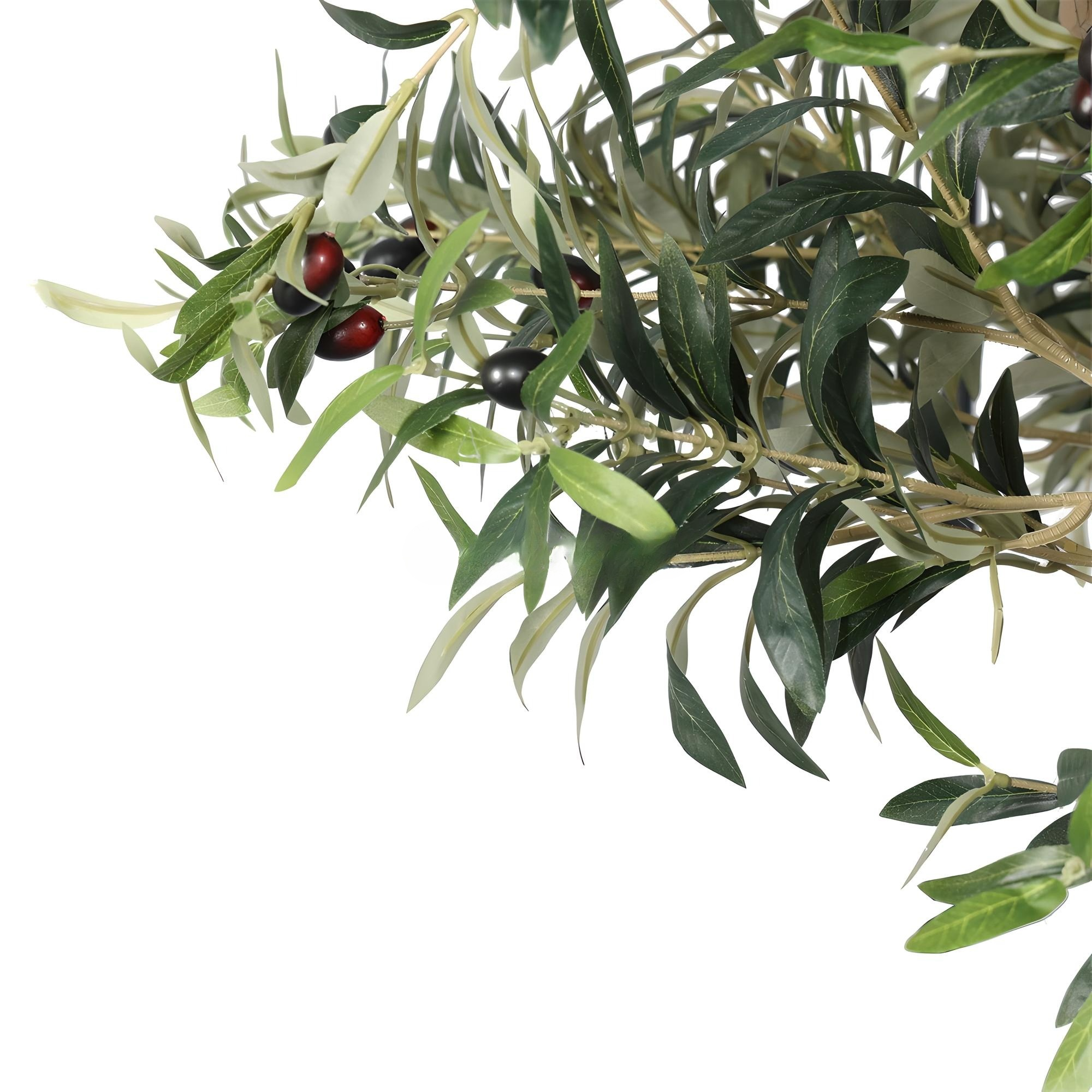 Olive Tree Disassembled 270CM Indoor KD
