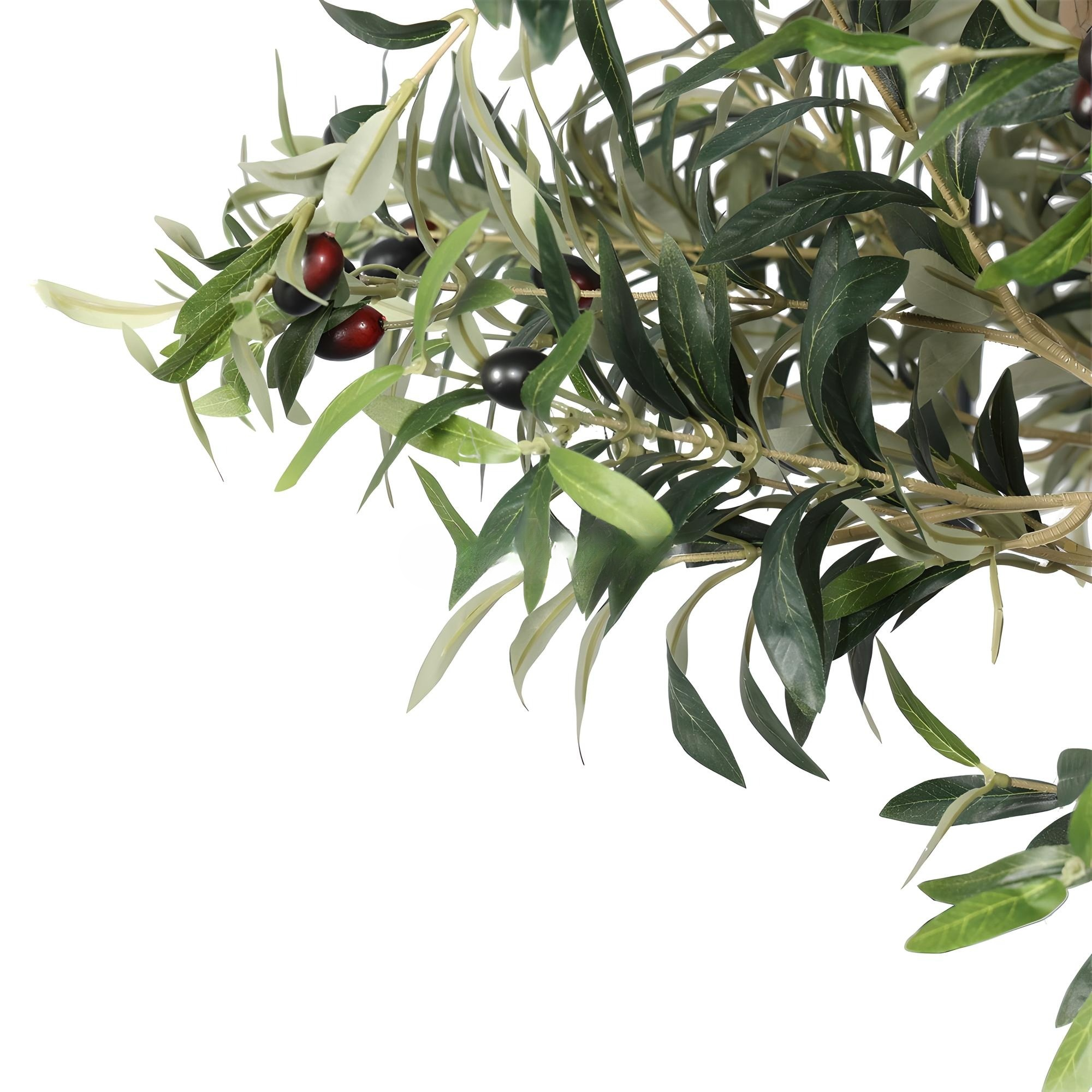 Olive Tree Disassembled 260CM Indoor KD