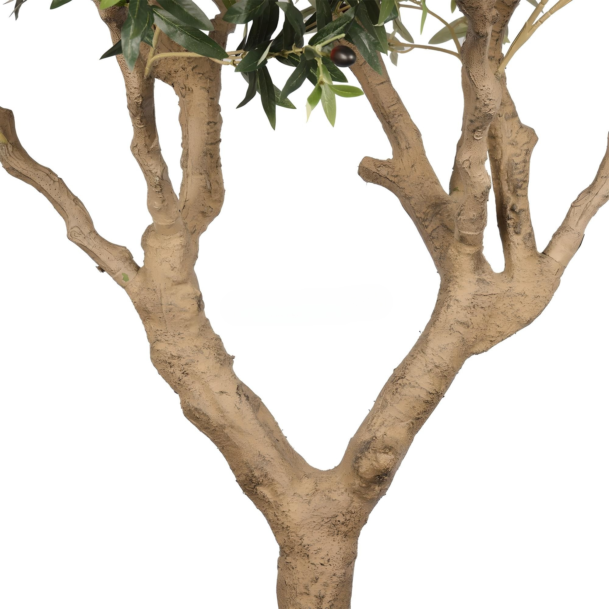 Olive Tree Disassembled 270CM Indoor KD