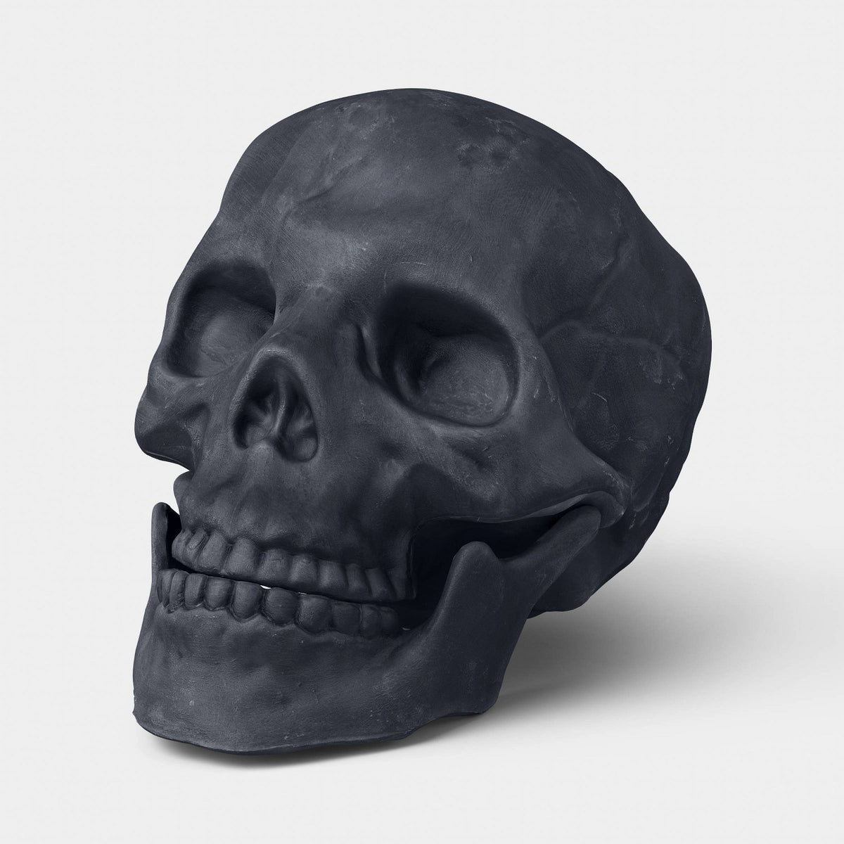 6 Inch Medium Skull Halloween Prop - image 4