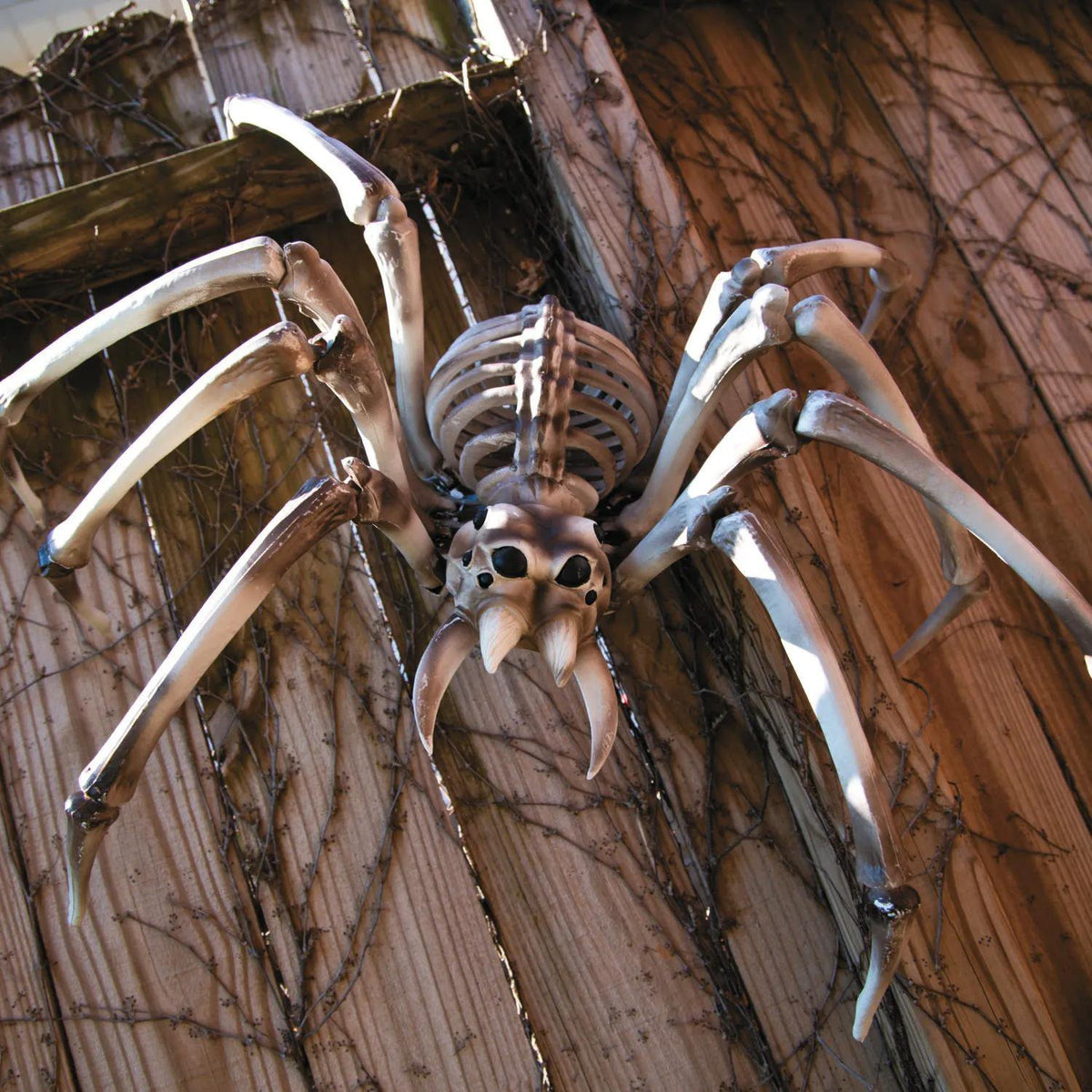 Bulk Giant Spider Skeleton Halloween Decorations - 32 Inch, 4 pc - image 2