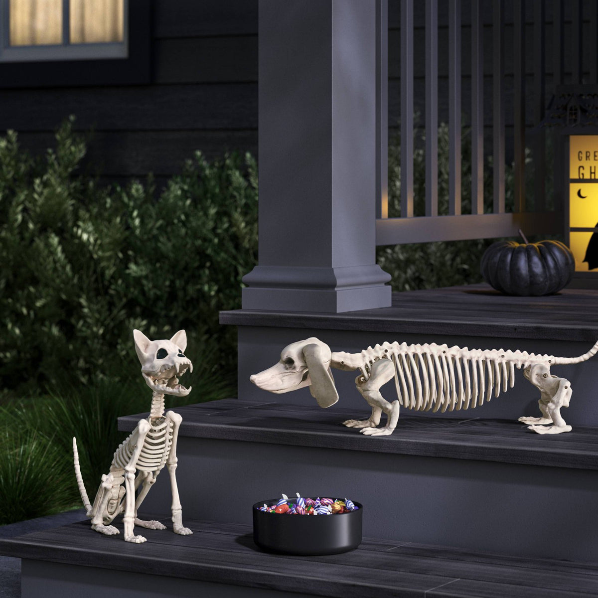 22.5 Inch Dachshund Skeleton Halloween Prop - image 2