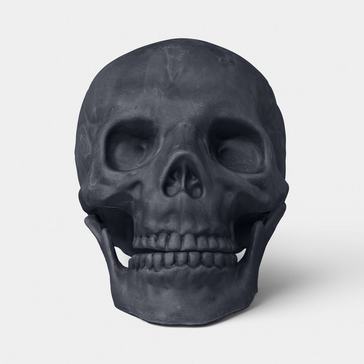 6 Inch Medium Skull Halloween Prop - image 2