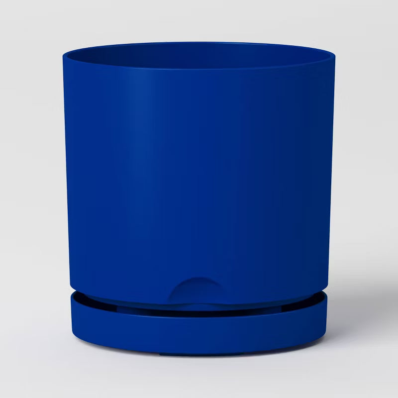 Candid Cobalt