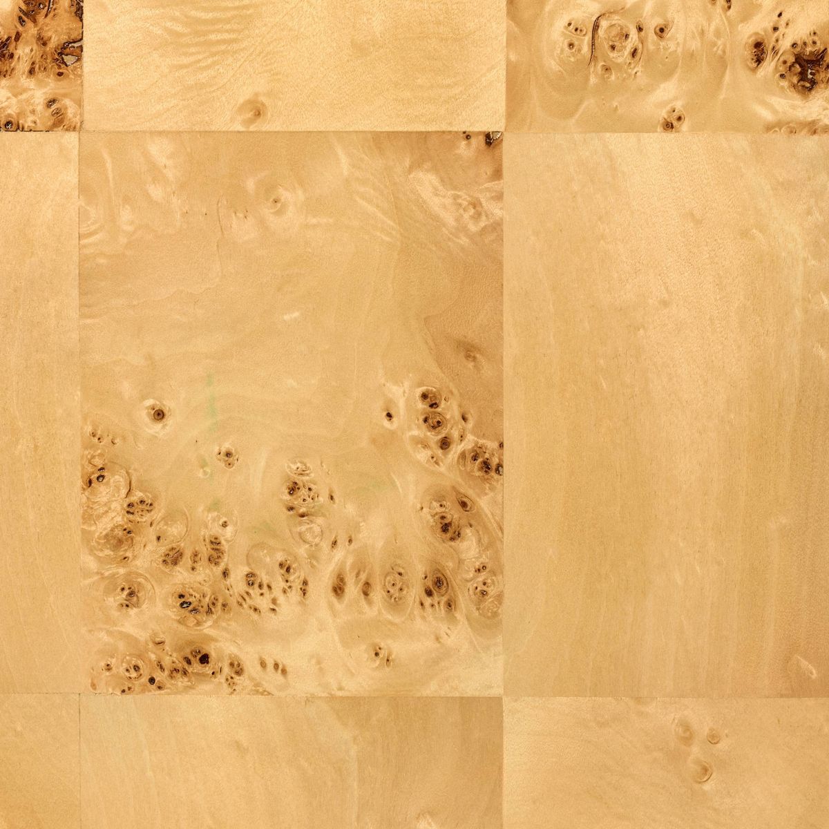 Ogden Burled Wood 2 Door Storage Cabinet Light Brown