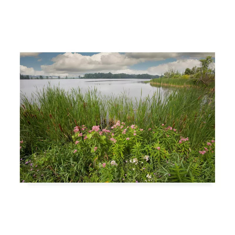 Landscape with a lake, grass, and flowers on a cloudy day