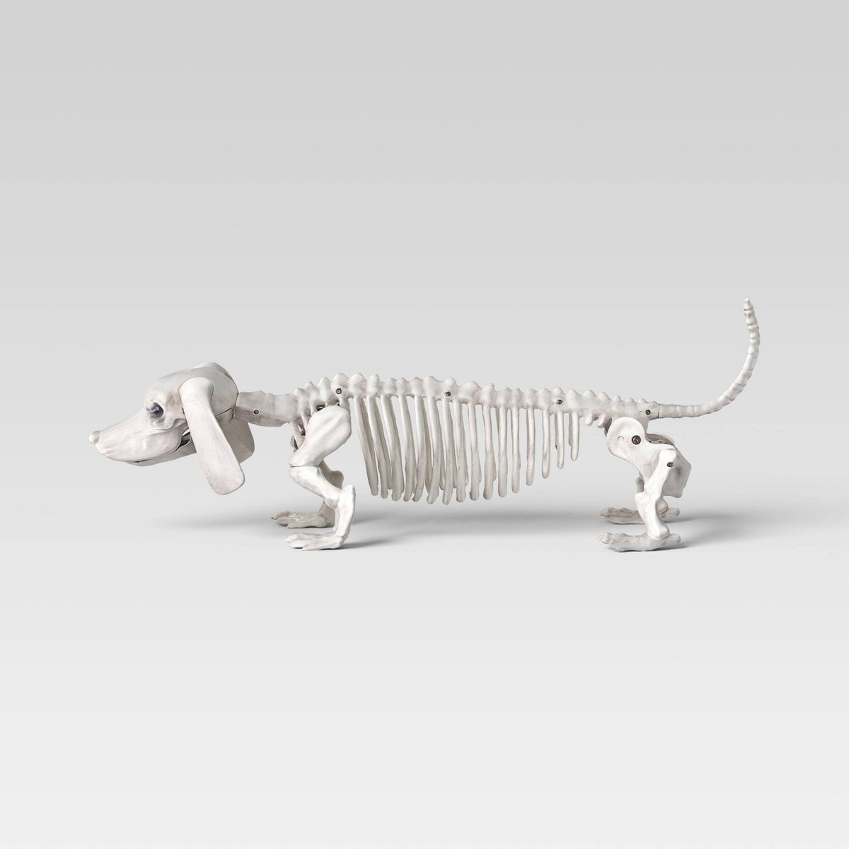 22.5 Inch Dachshund Skeleton Halloween Prop - image 3
