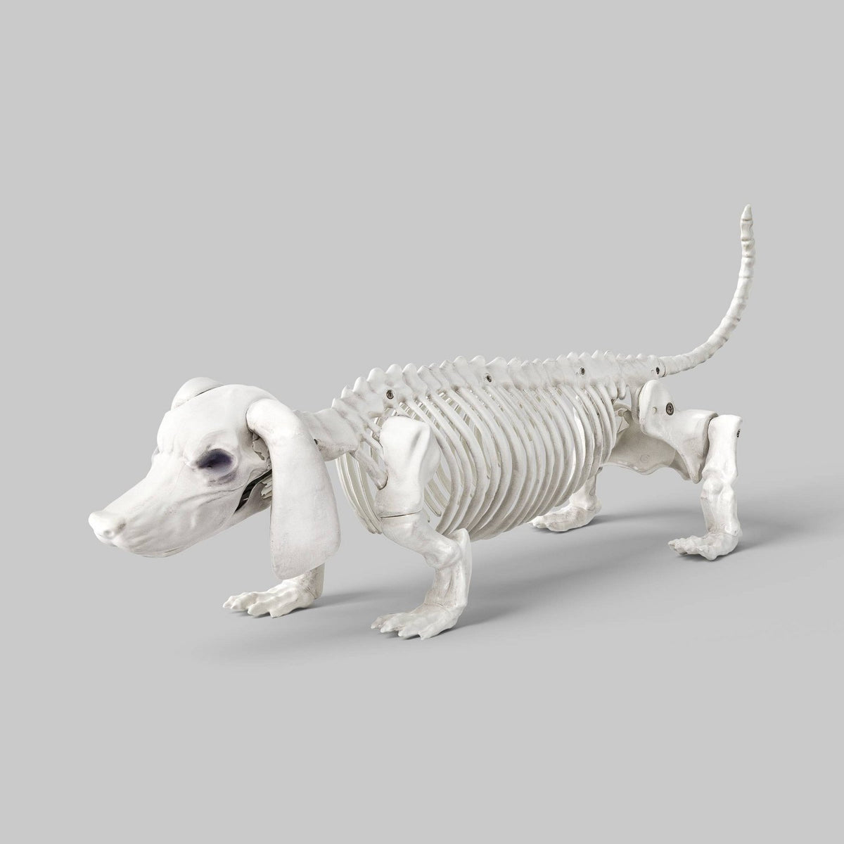 22.5 Inch Dachshund Skeleton Halloween Prop - Halloween decor