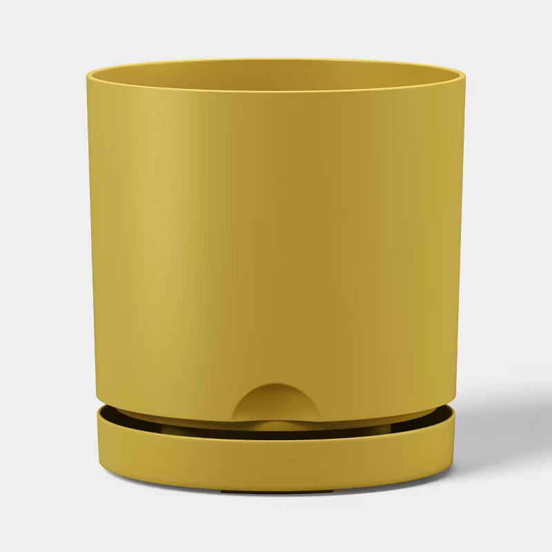 Mustard Yellow