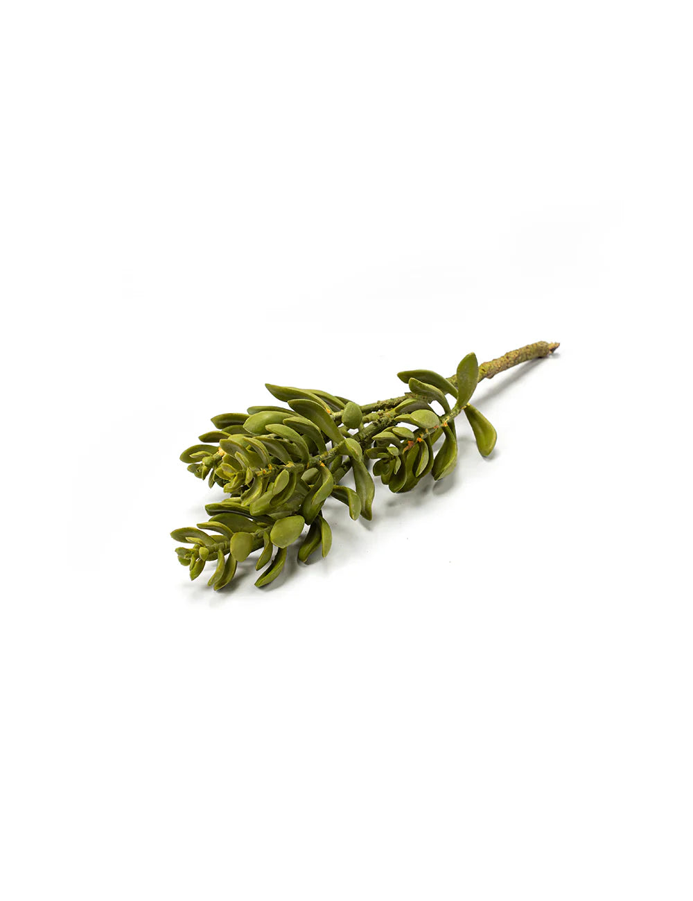 “Olive Essence faux olive leaf stem with lifelike detail – perfect for vases, home styling, and event decor.”