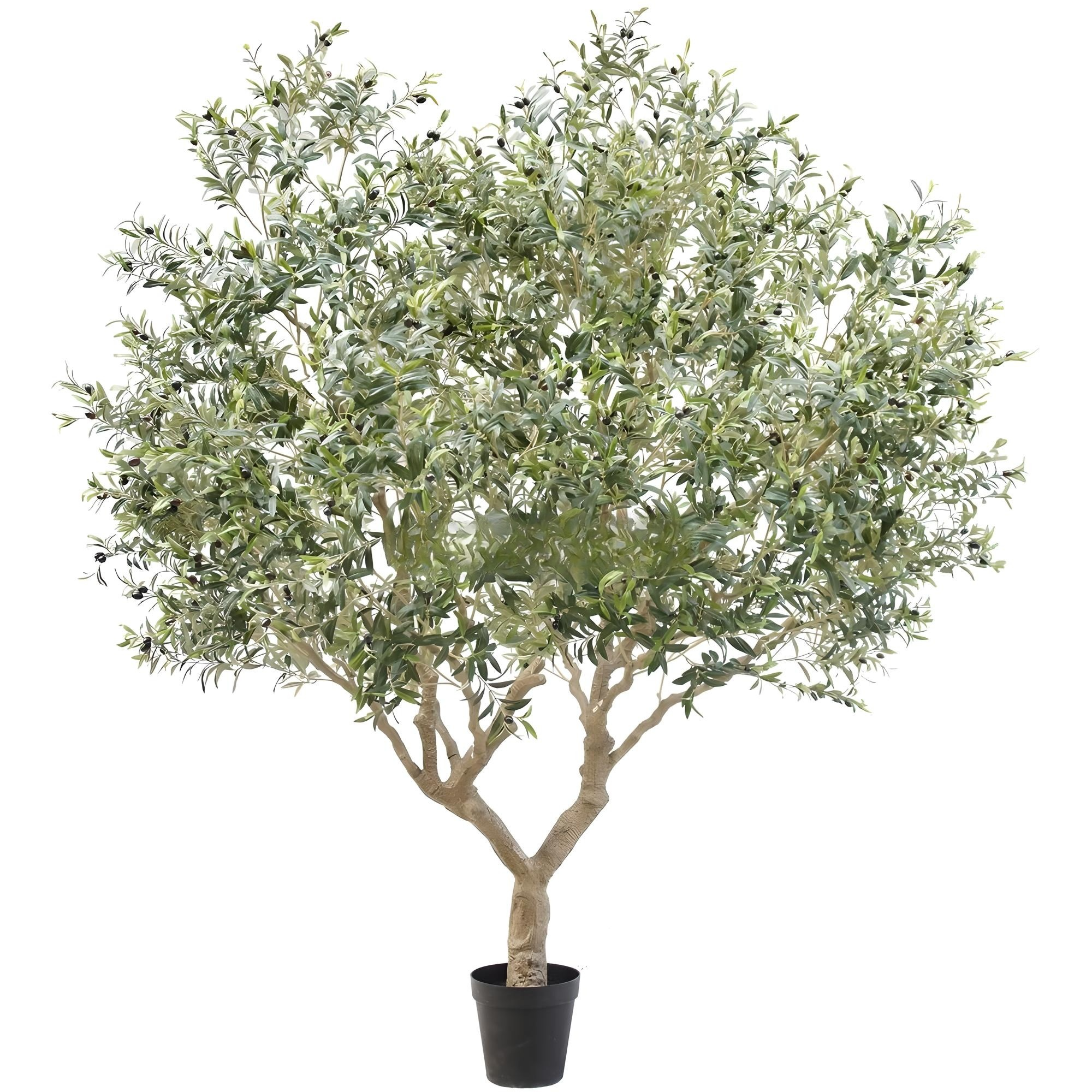 Olive Tree Disassembled 270CM Indoor KD