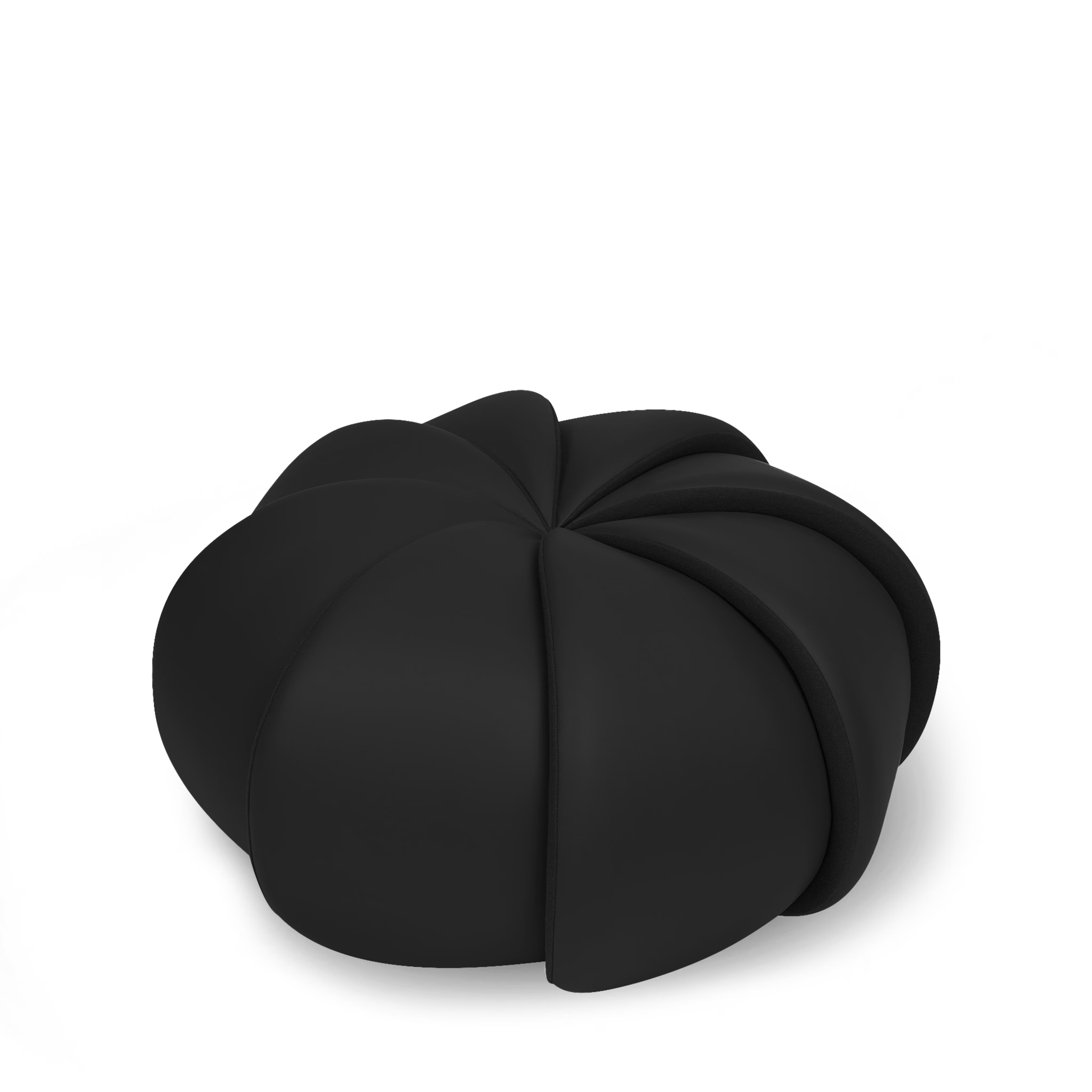 Black pumpkin on a white background Black